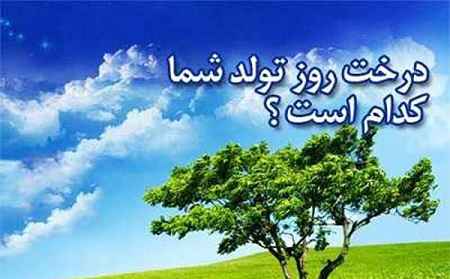 طالع بینی درخت روز تولد در سایت علی نوروزی