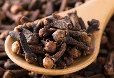 خواص و مضرات میخک Clove در سایت علی نوروزی