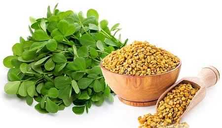 خواص و مضرات شنبلیله Fenugreek در سایت علی نوروزی