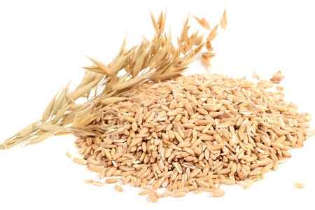 خواص و مضرات جودوسر (یولاف) Oat در سایت علی نوروزی