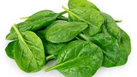 خواص و مضرات اسفناج Spinach در سایت علی نوروزی