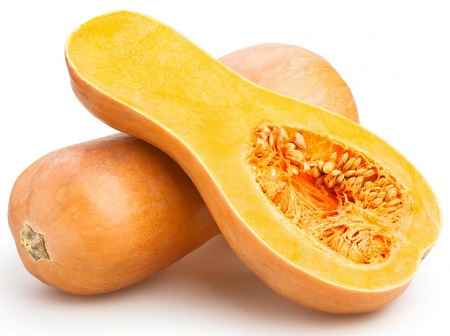 خواص و مضرات کدو Squash در سایت علی نوروزی
