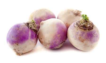 خواص و مضرات شلغم Turnip در سایت علی نوروزی