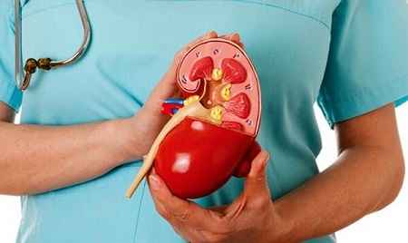 تغذیه در بیماری های کلیوی در سایت علی نوروزی
