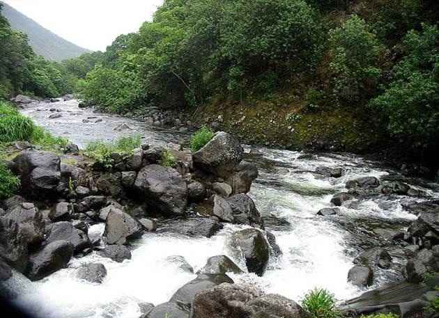 قلبم سرشار از خوشی است در سایت علی نوروزی